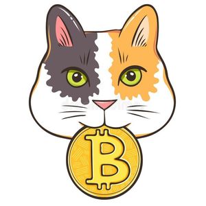 Orange Cat