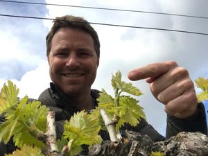 Turkovich Family Wine