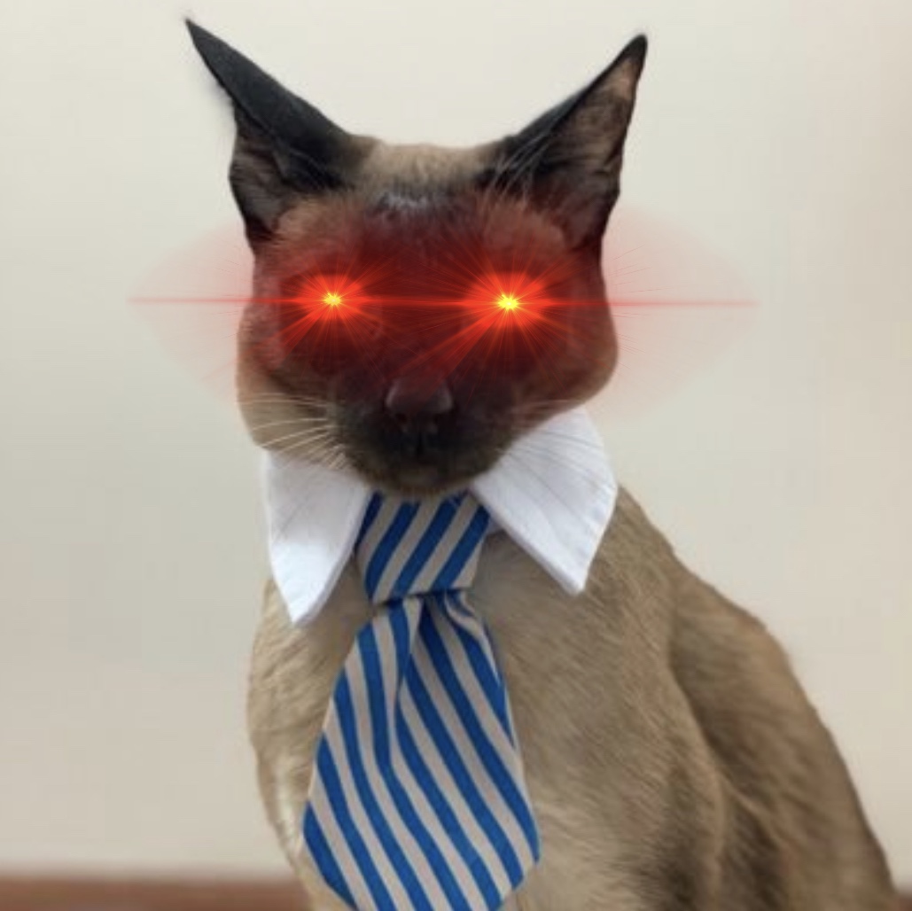 Business Cat