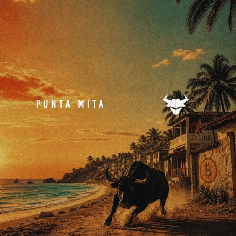 PUNTA MITA