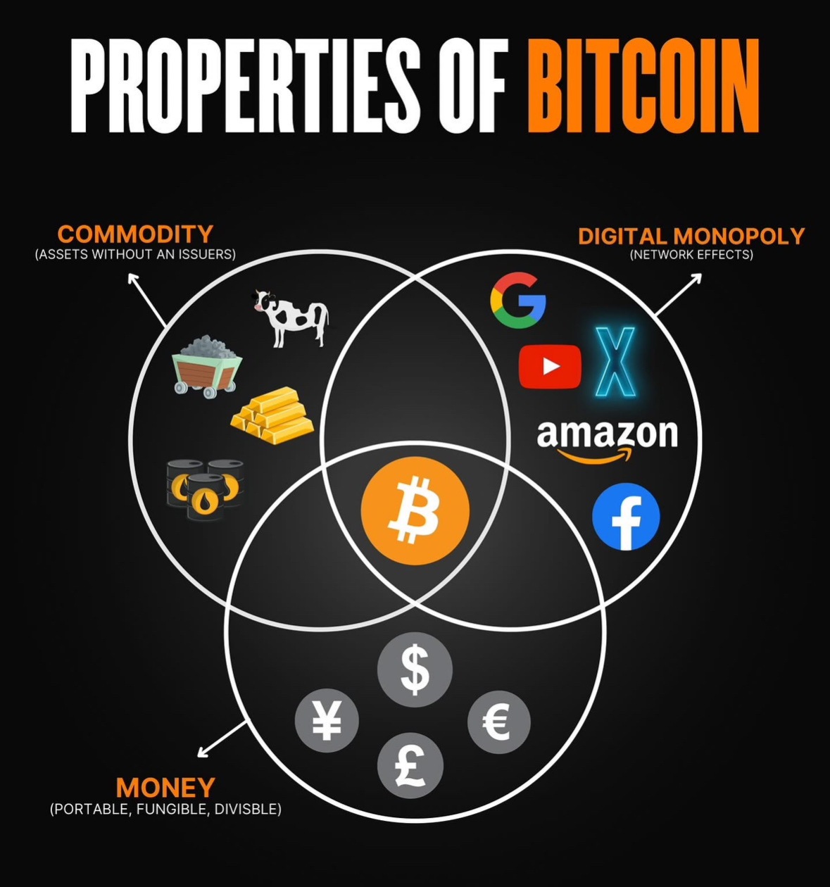 BITCOIN ACTION NETWORK