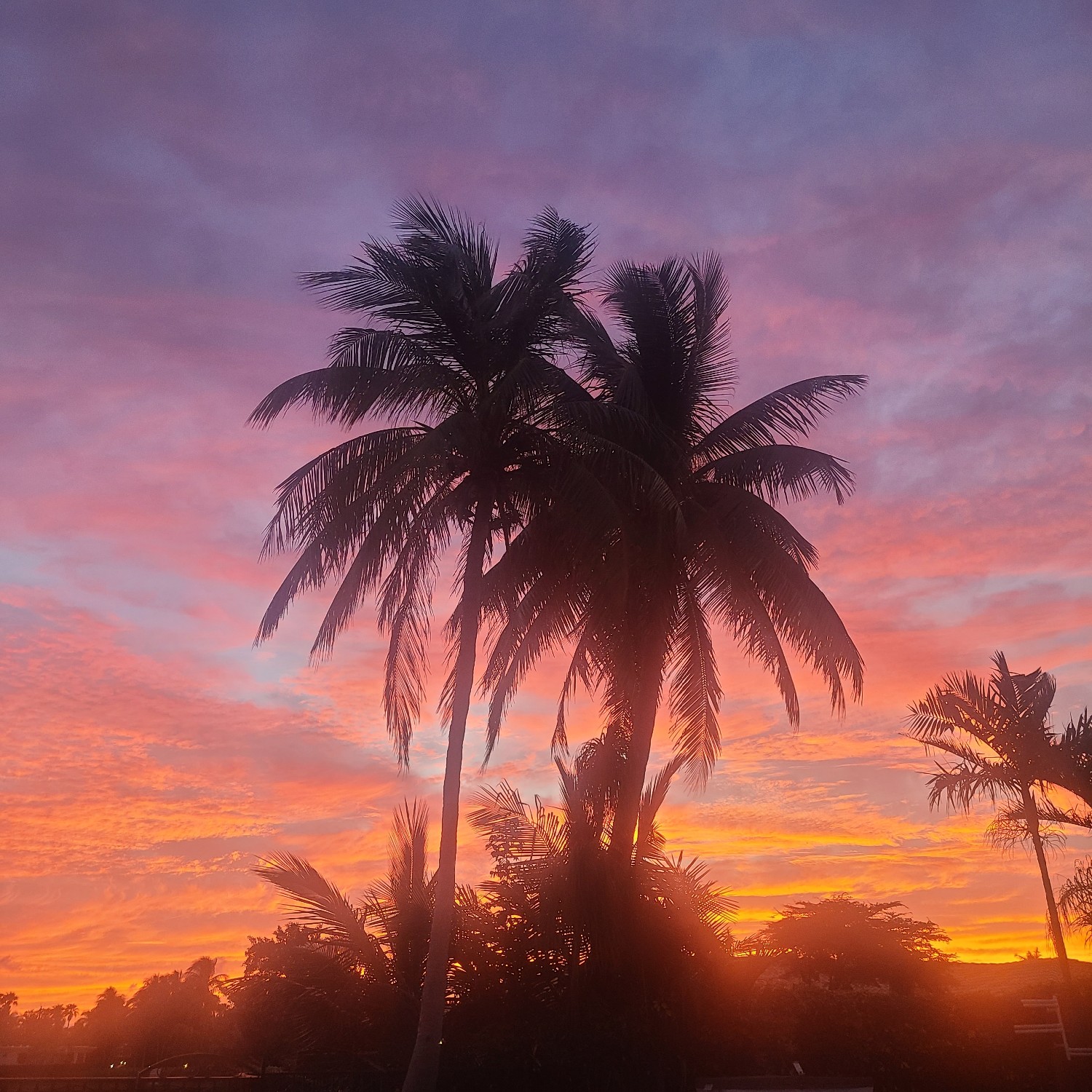 Broward Bitcoin Meetup