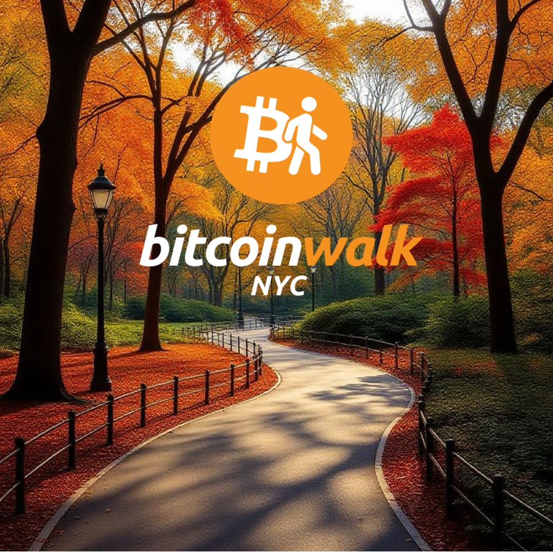 Bitcoin Walk #3