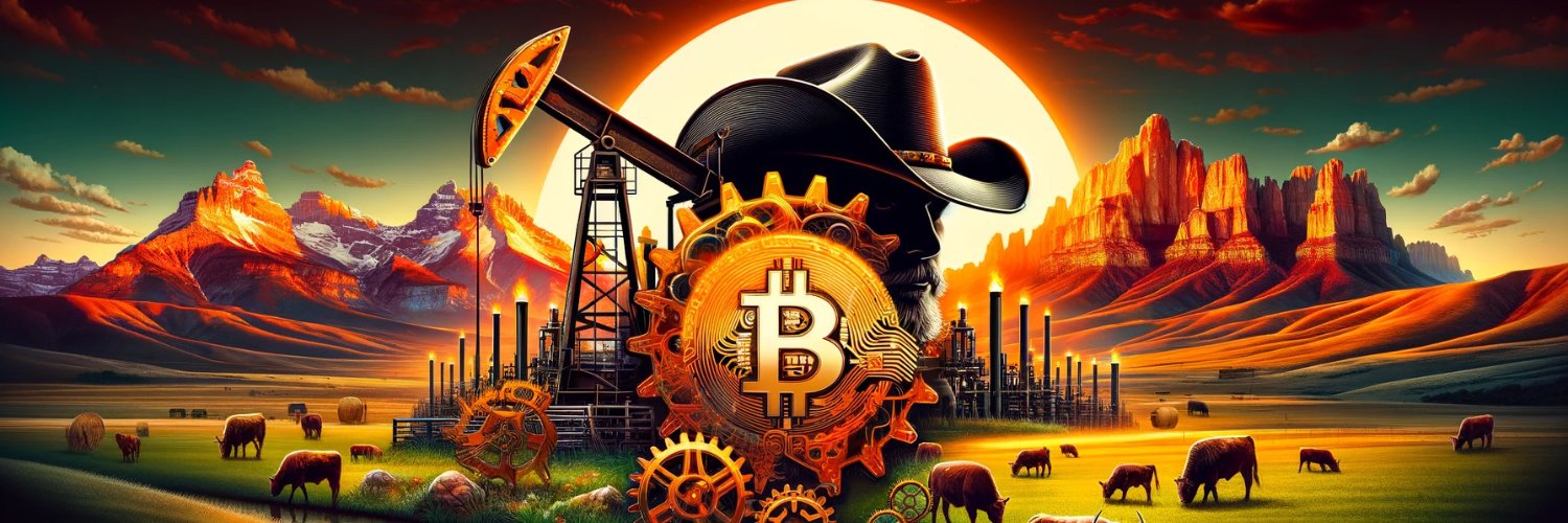 The Bitcoin Rodeo 2026