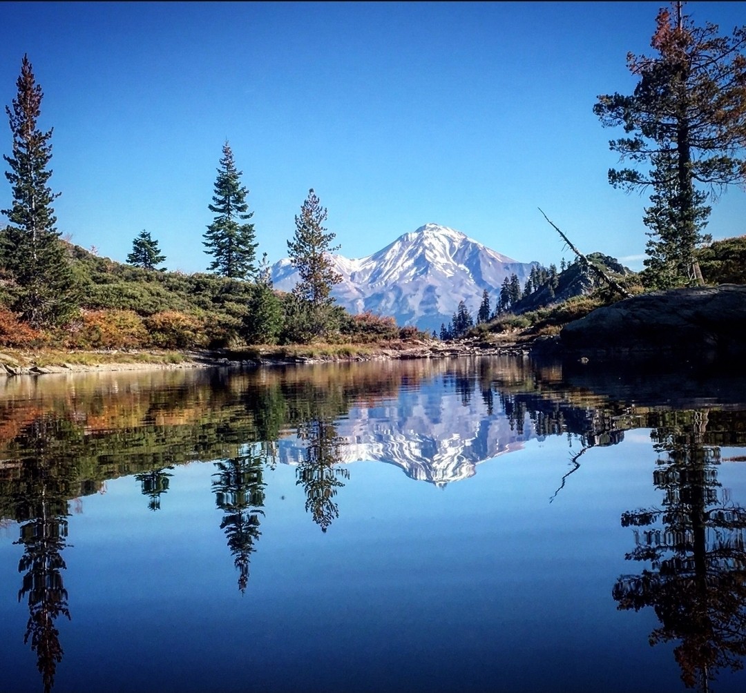 Redding, Shasta County Bitcoin day at the lake.