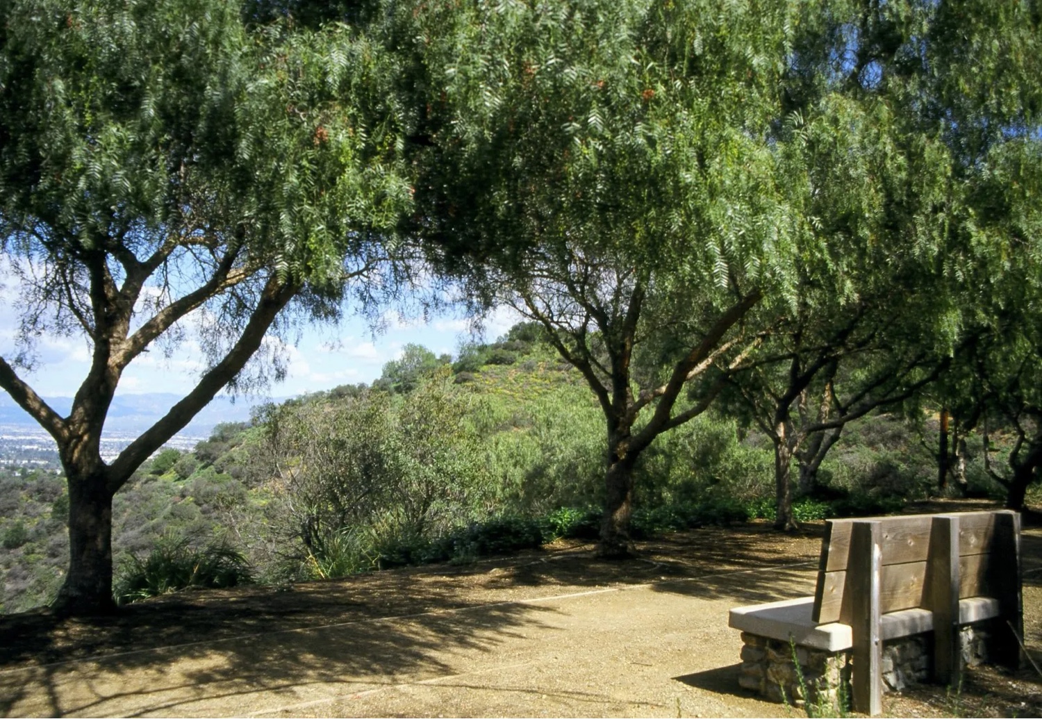 Bitcoin Monthly Hiking Club (1st. Sat)